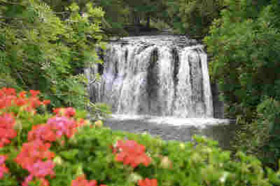 Foto van een waterval